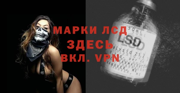 прущие грибы Алзамай