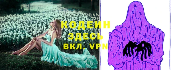 прущие грибы Алзамай