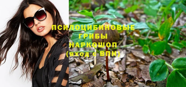 прущие грибы Алзамай