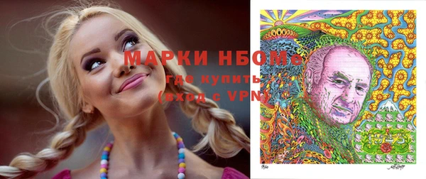 прущие грибы Алзамай