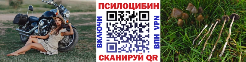 Псилоцибиновые грибы MAGIC MUSHROOMS  Купить закладки  Калуга 